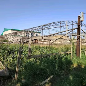 теплица
