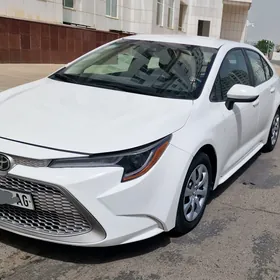 Toyota Corolla 2020