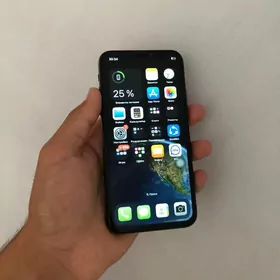 iPhone X