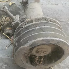 zil kardan sementawoz