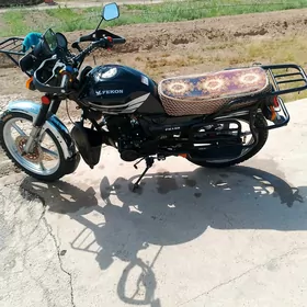 Fekon FK150-8G 2018