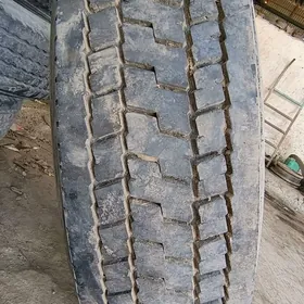 teker 295.80.22.5