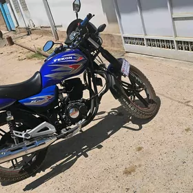 Fekon FK200-14G 2025