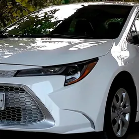 Toyota Corolla 2021