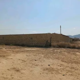 kaşar 1 gekdar
