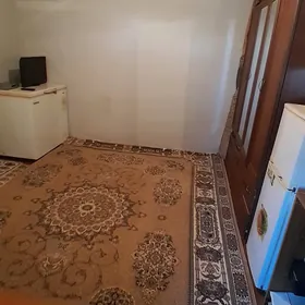 Günlük jay