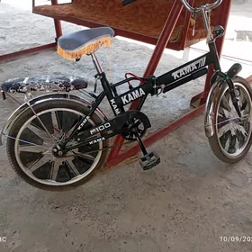 KAMA TİGİR