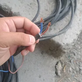 kabel miss