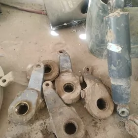 хова тришотка