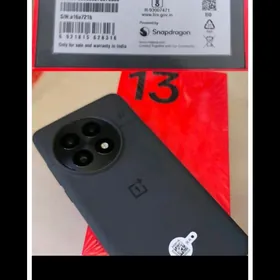 OnePlus 13