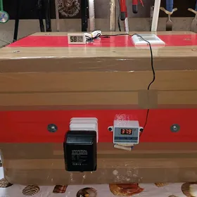 inkubator инкубатор