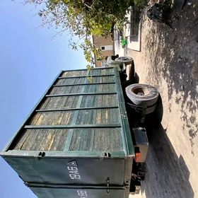 zıl bort