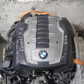 BMW morda mator
