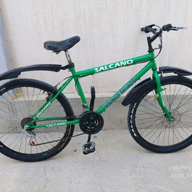 Turkmenistan tigir