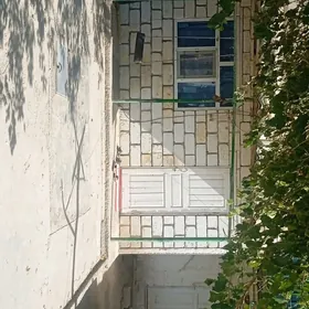 Satlyk jay jangada