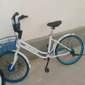 bez kama