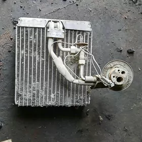 radiator içki isparitel kond