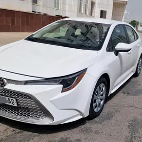 Toyota Corolla 2020