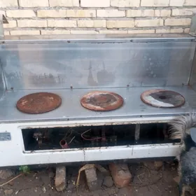profisanalal elekta pecka