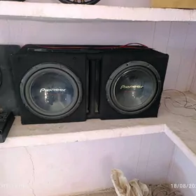 pioneer