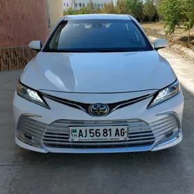 Toyota Camry 2019