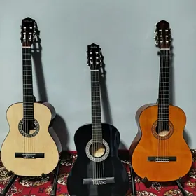 Elektro model J1 gitara гитара