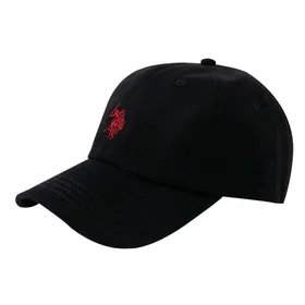 USPA Kepka кепка original