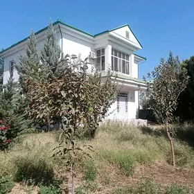 Satlyk Taze Zaman Katez