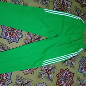 talyp spartiwka
