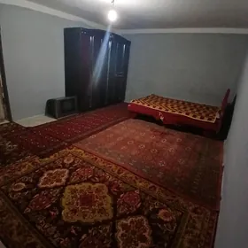 anev magtymguly 7nji koce