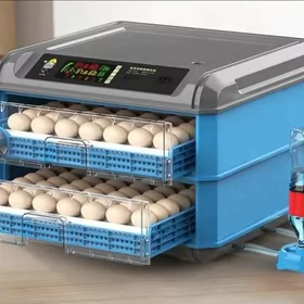 Inkubator