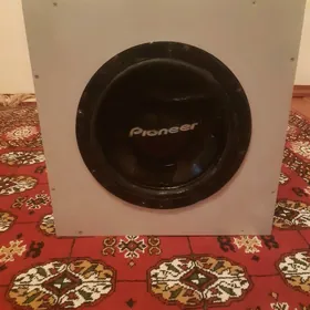 pioneer bocka