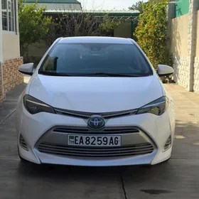 Toyota Corolla 2019