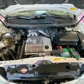 Lexus RX 300 2002
