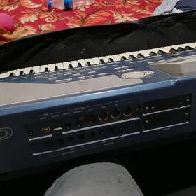 korg pa 800