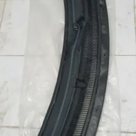 dwornik plasmas ford