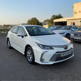 Toyota Corolla 2021