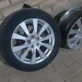 Carolla disga 17