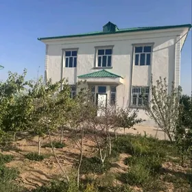 Taze zaman kates 8 sotoh