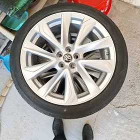 corolla dickasy