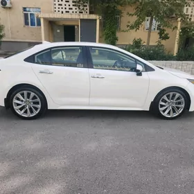 Toyota Corolla 2021