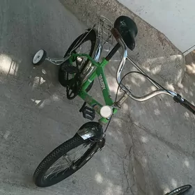 tigir 16lyk beti