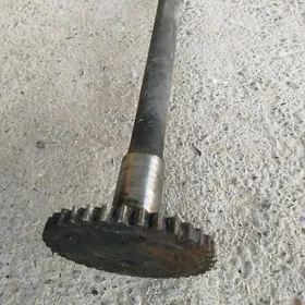 ural  palawos