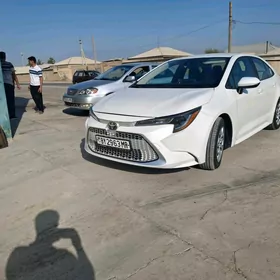 Toyota Corolla 2021