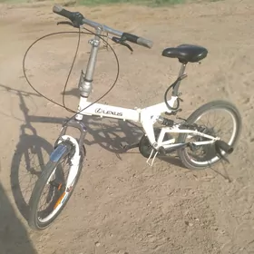 kama taze 6 skorly