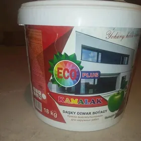 Daşky boýag (emulsiýa) 2-sany