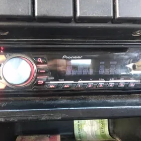 pioneer arginal