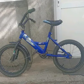 kici caga tigir gyssagly 16lyk