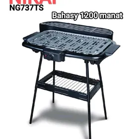 ELEKTIRONNY MANGALAR TÄZE