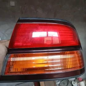 cefiro stopnik
